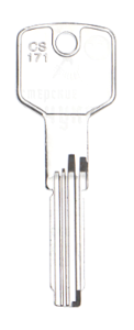 CISA.CS171