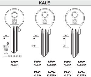 KALE